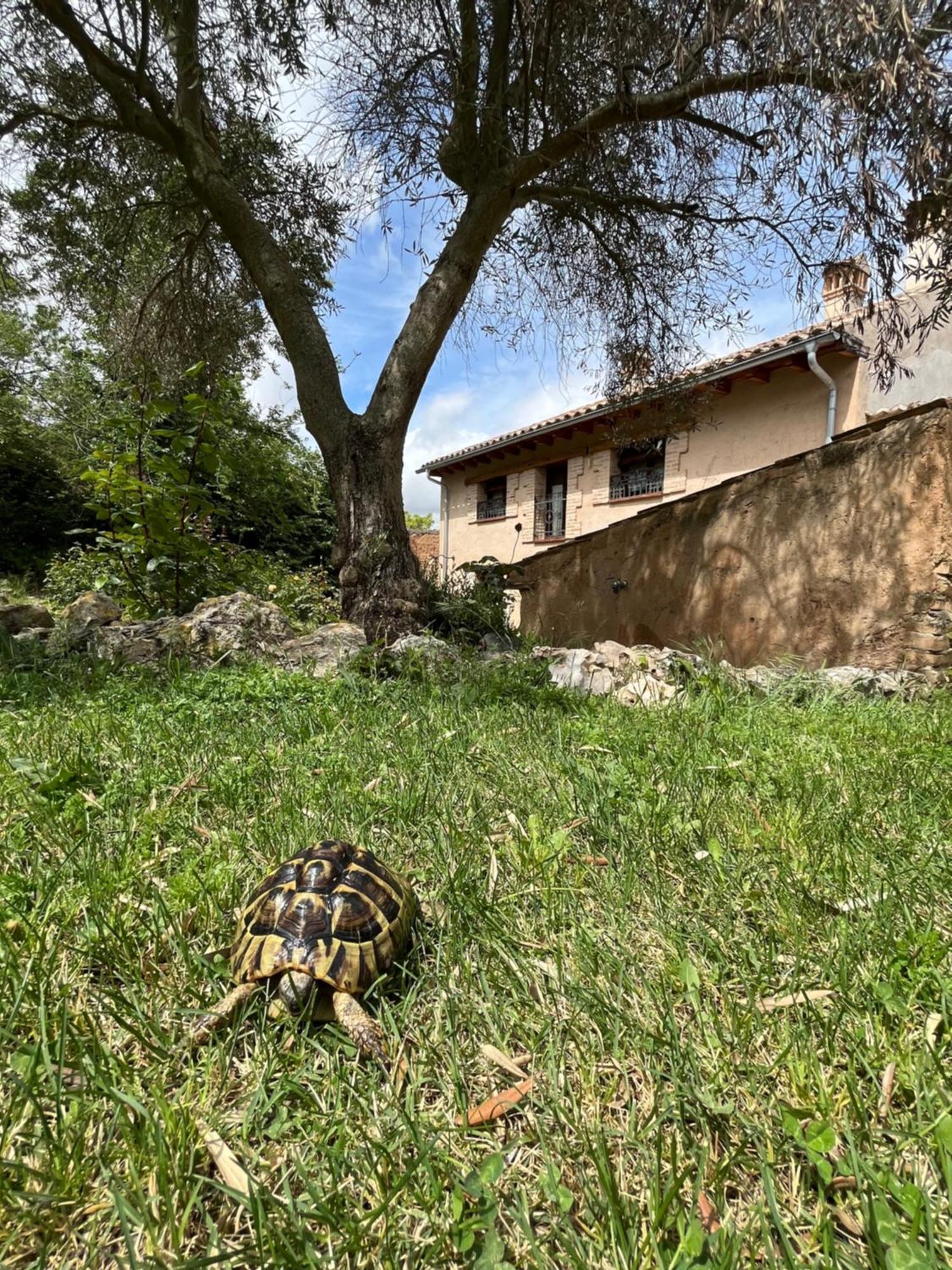 El Salegar Villa Roturas Exteriör bild